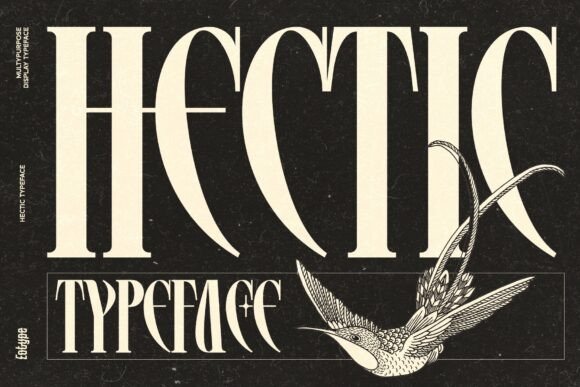 Command the Room: Hectic's Modern Serif Edge