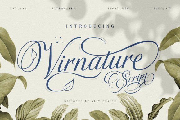 Virnature: The Script Font That Breathes Life Into Design